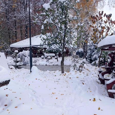 Pensiunea Emma Sâmbăta de Sus Exterior photo