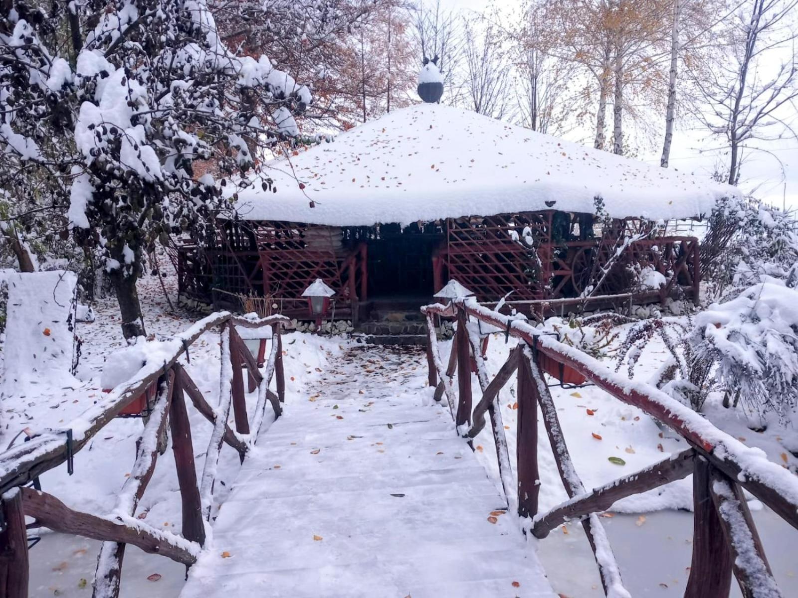 Pensiunea Emma Sâmbăta de Sus Exterior photo