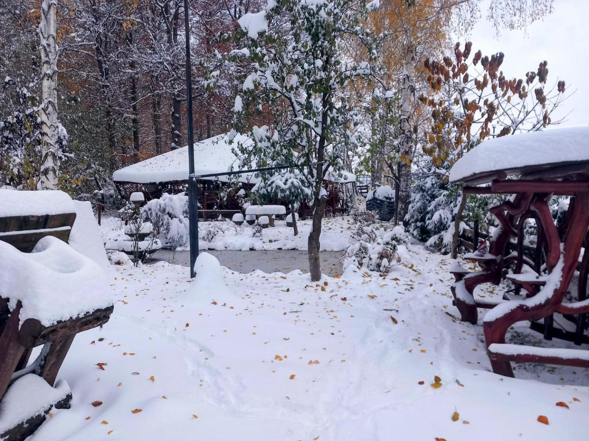 Pensiunea Emma Sâmbăta de Sus Exterior photo