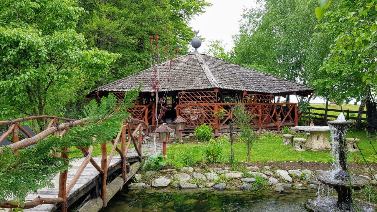Pensiunea Emma Sâmbăta de Sus Exterior photo